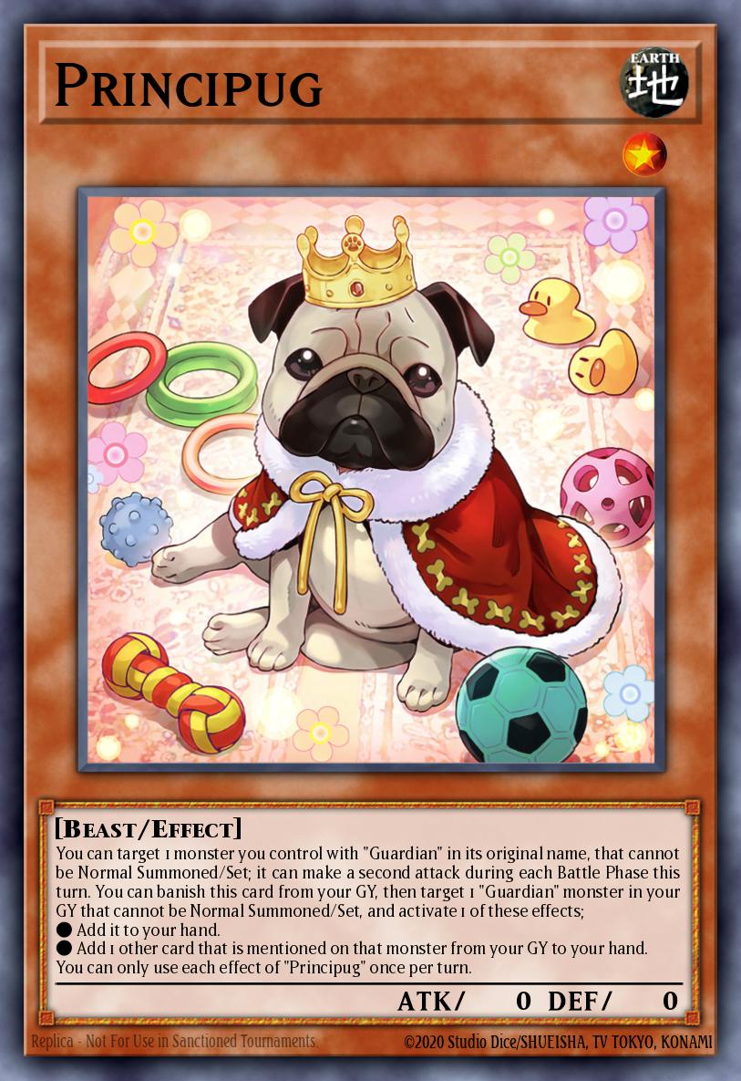 Principug PHNI-EN034