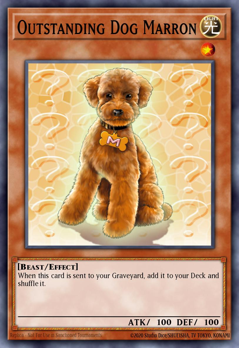 Outstanding Dog Marron DCR-062