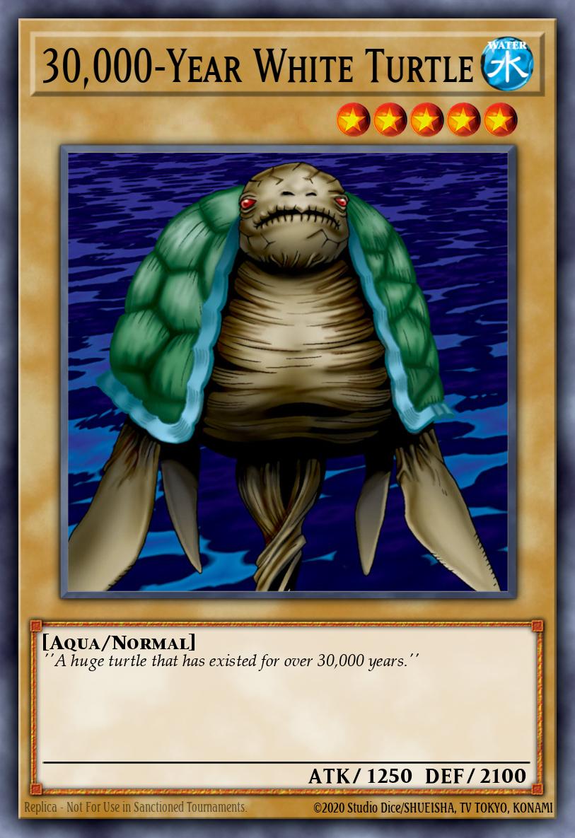 30,000-Year White Turtle 11714098