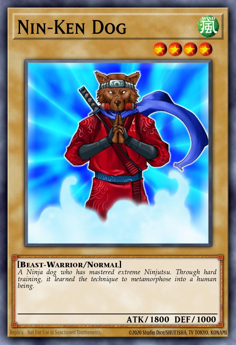 Nin-Ken Dog DCR-002