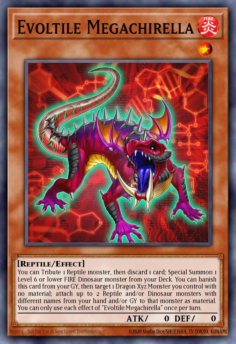 Evoltile Megachirella CHIM-EN020