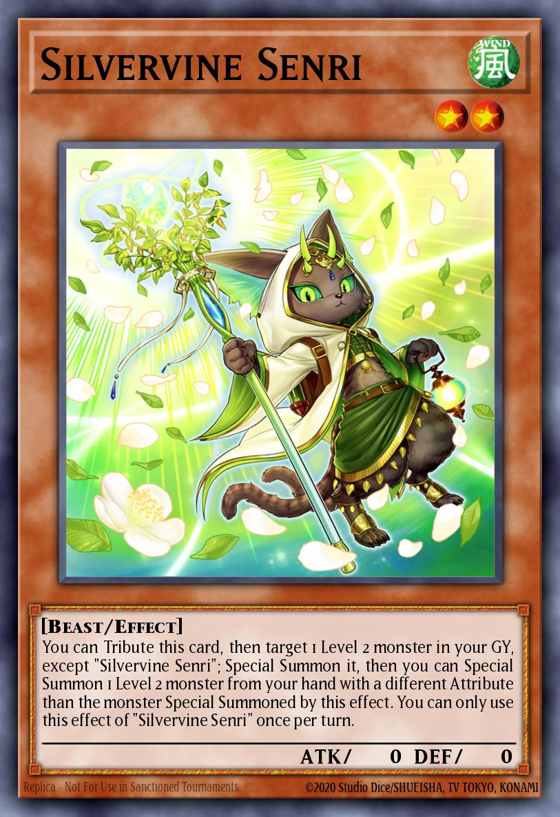 Silvervine Senri BACH-EN031