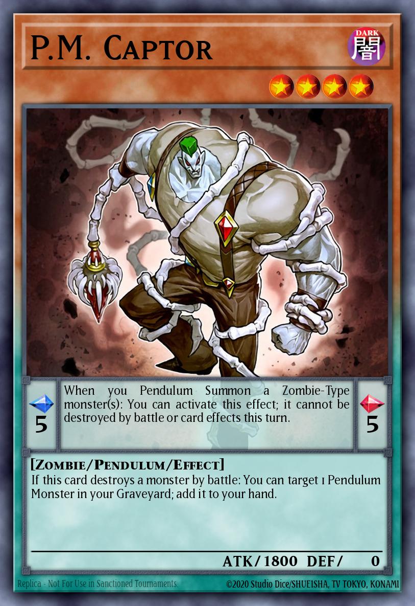 P.M. Captor WSUP-EN044