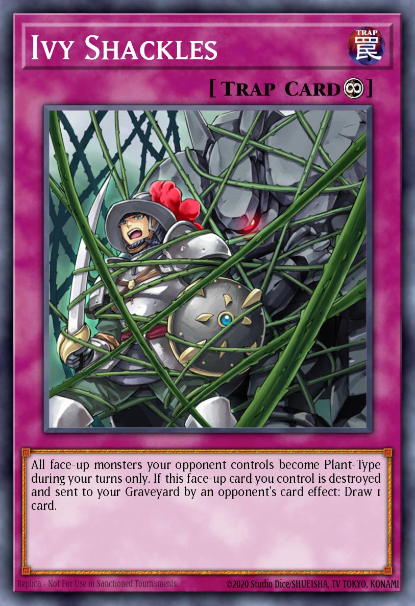 Ivy Shackles CRMS-EN070