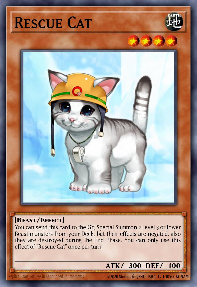 Rescue Cat RA02-EN001