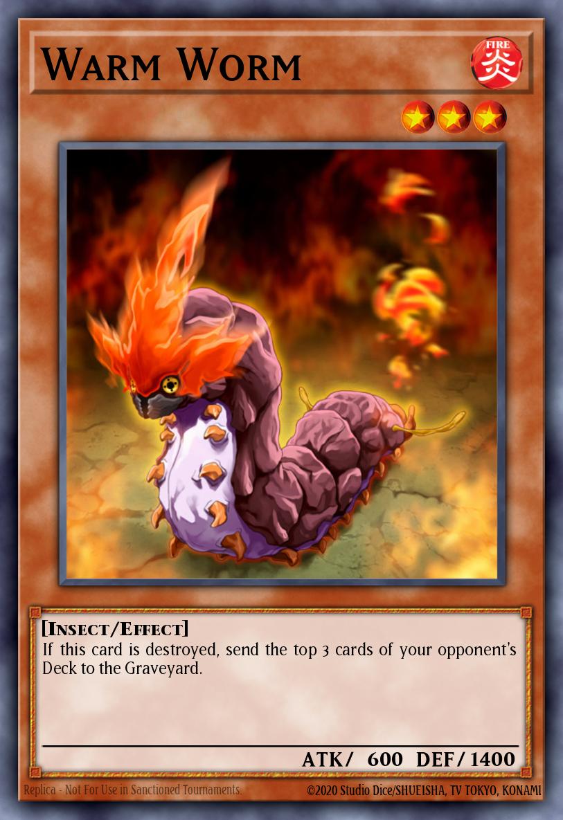 Warm Worm TF04-EN001