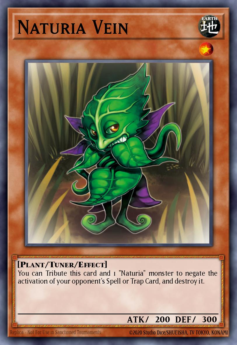 Naturia Vein DT02-EN010