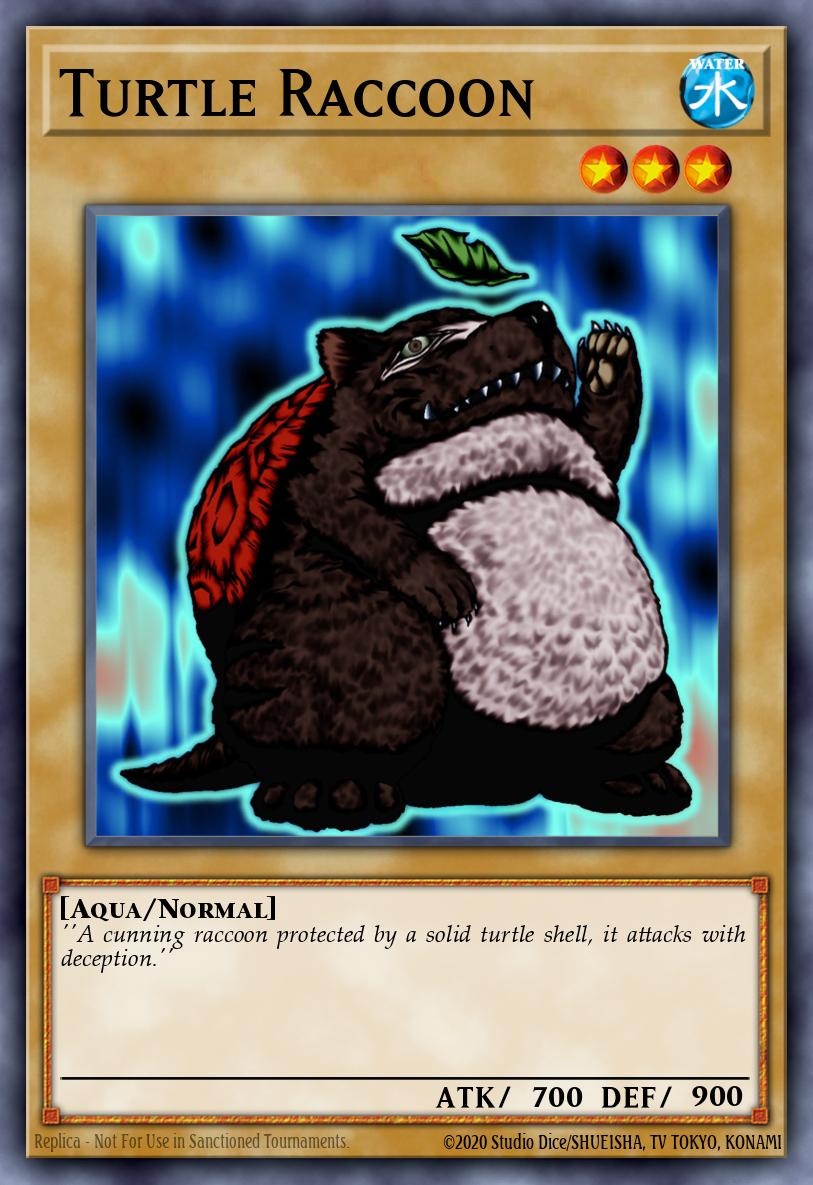 Turtle Raccoon 17441953