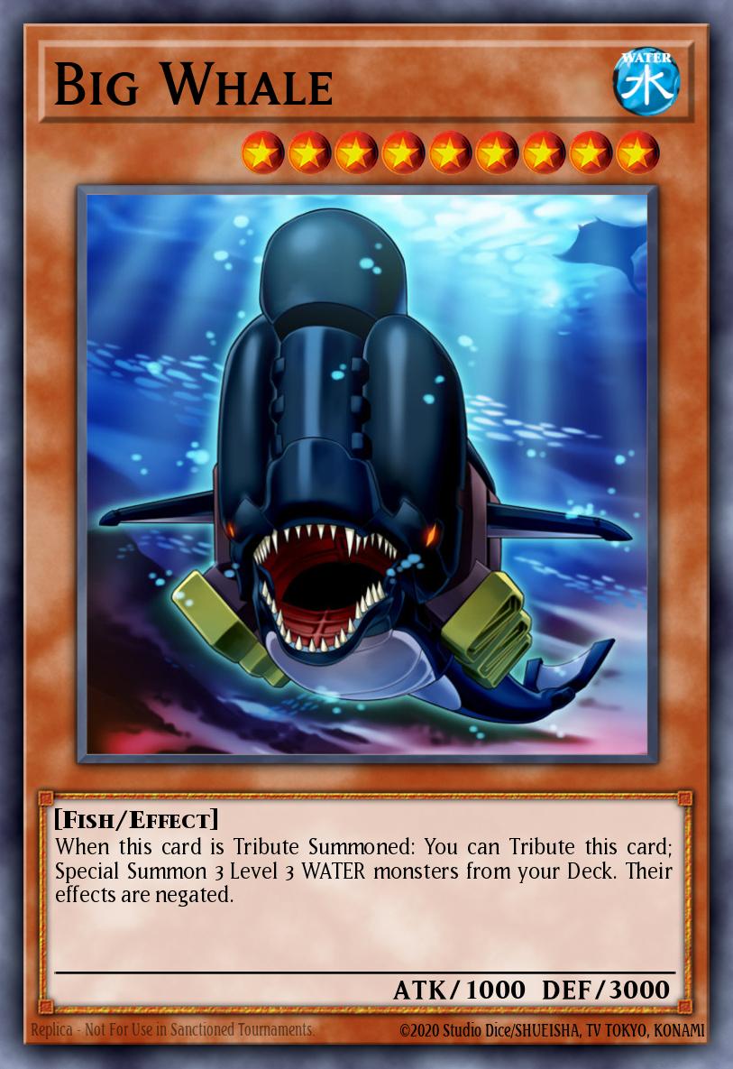 Big Whale LTGY-EN008