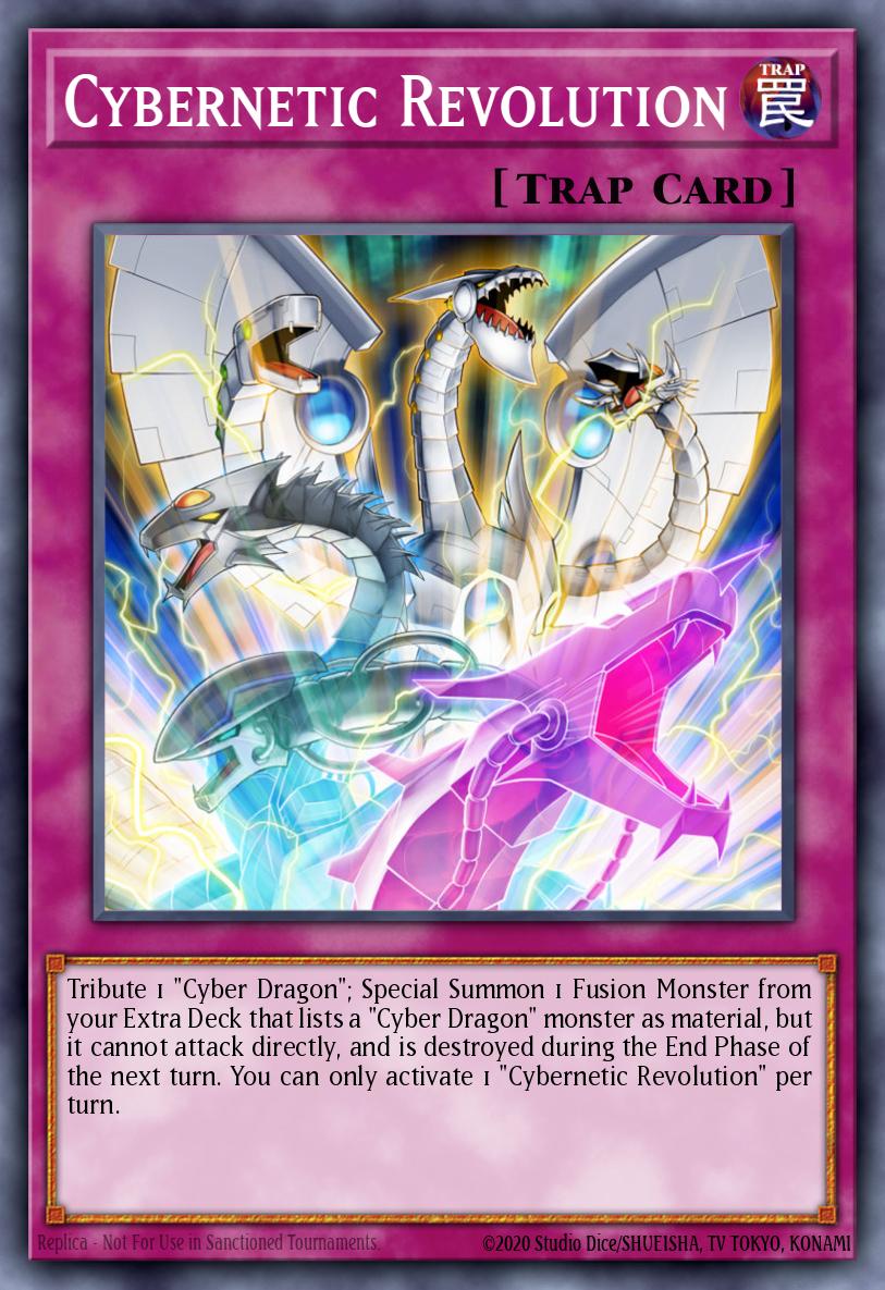 Cybernetic Revolution LDS2-EN037