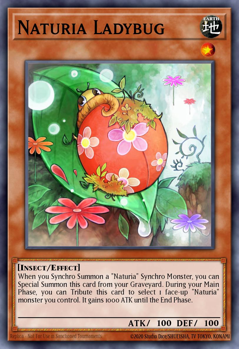 Naturia Ladybug DT04-EN030