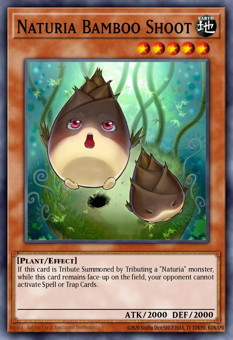 Naturia Bamboo Shoot DREV-EN029
