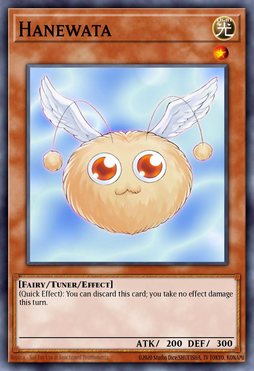 Hanewata AP05-EN016
