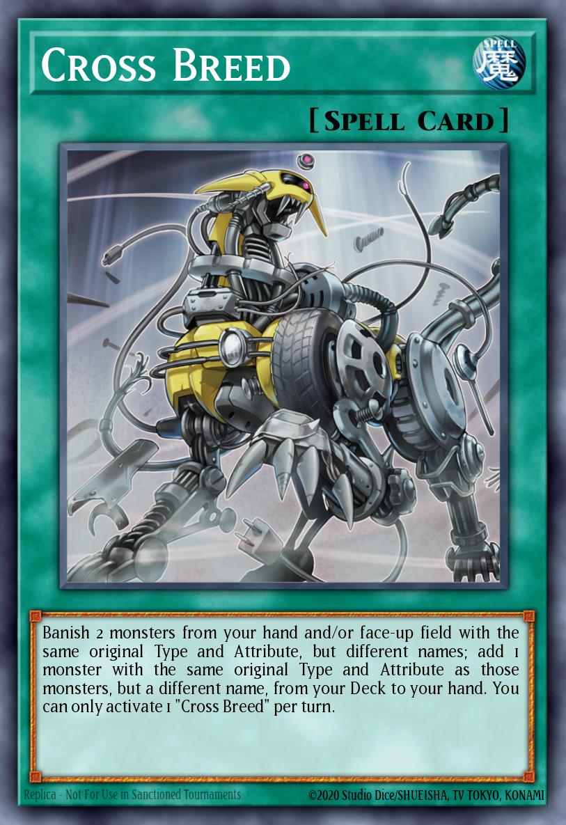 Cross Breed MP19-EN124