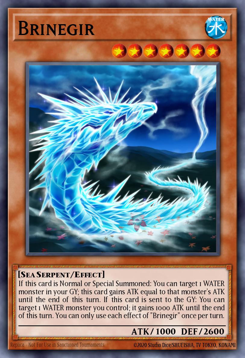 Brinegir CHIM-EN026