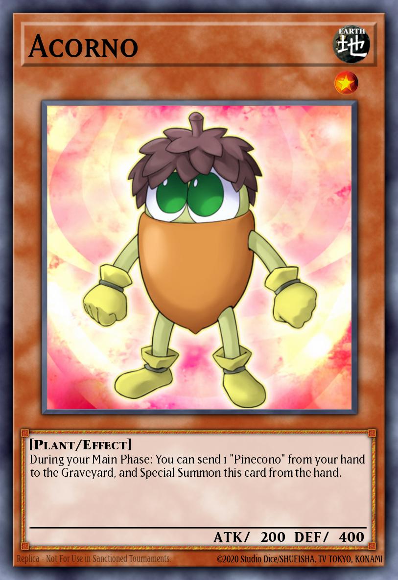 Acorno PHSW-EN006