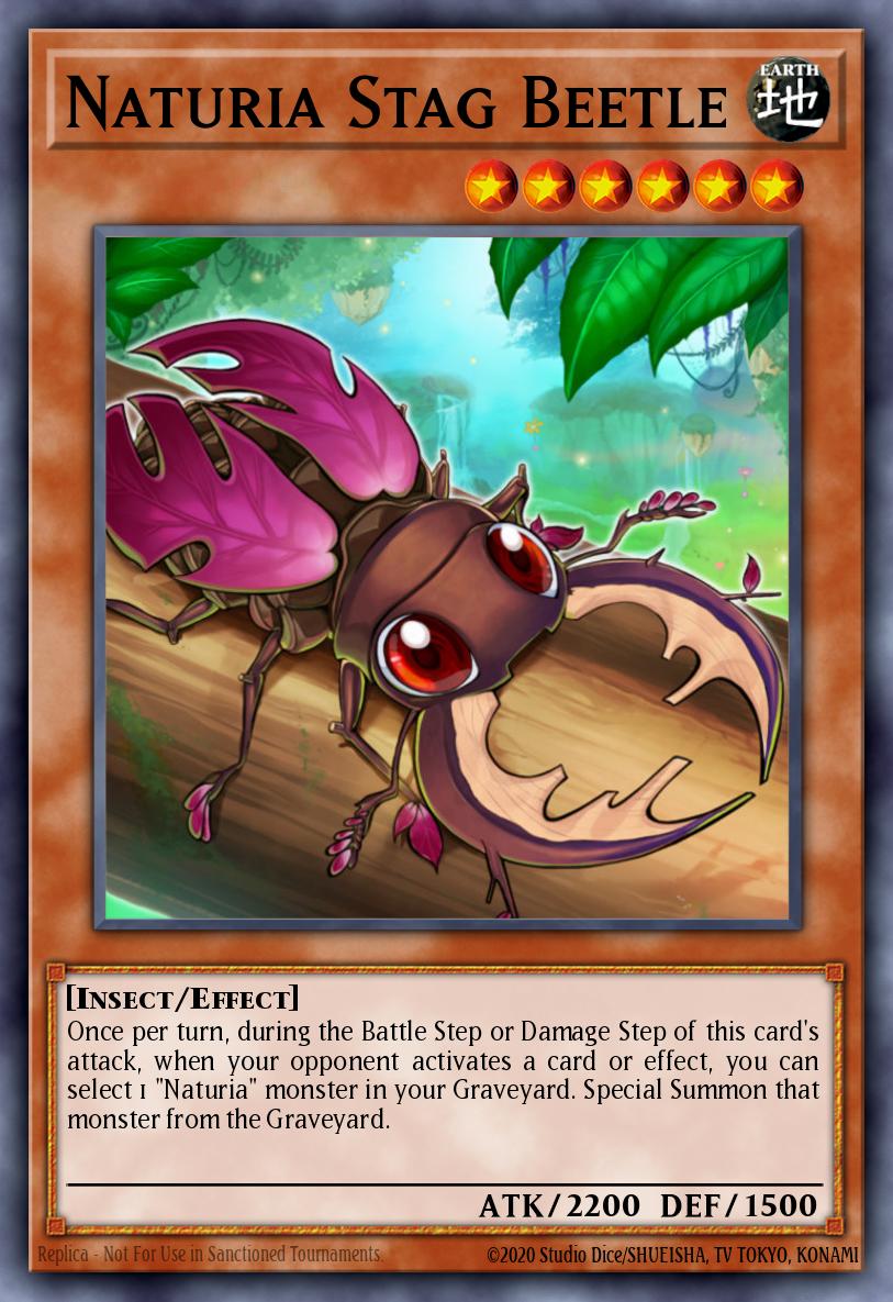 Naturia Stag Beetle STBL-EN032