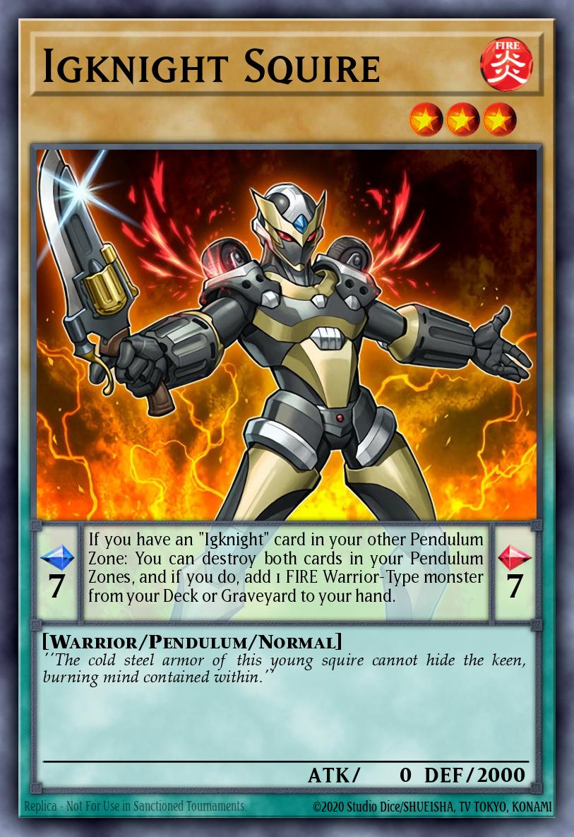 Igknight Squire MP16-EN065