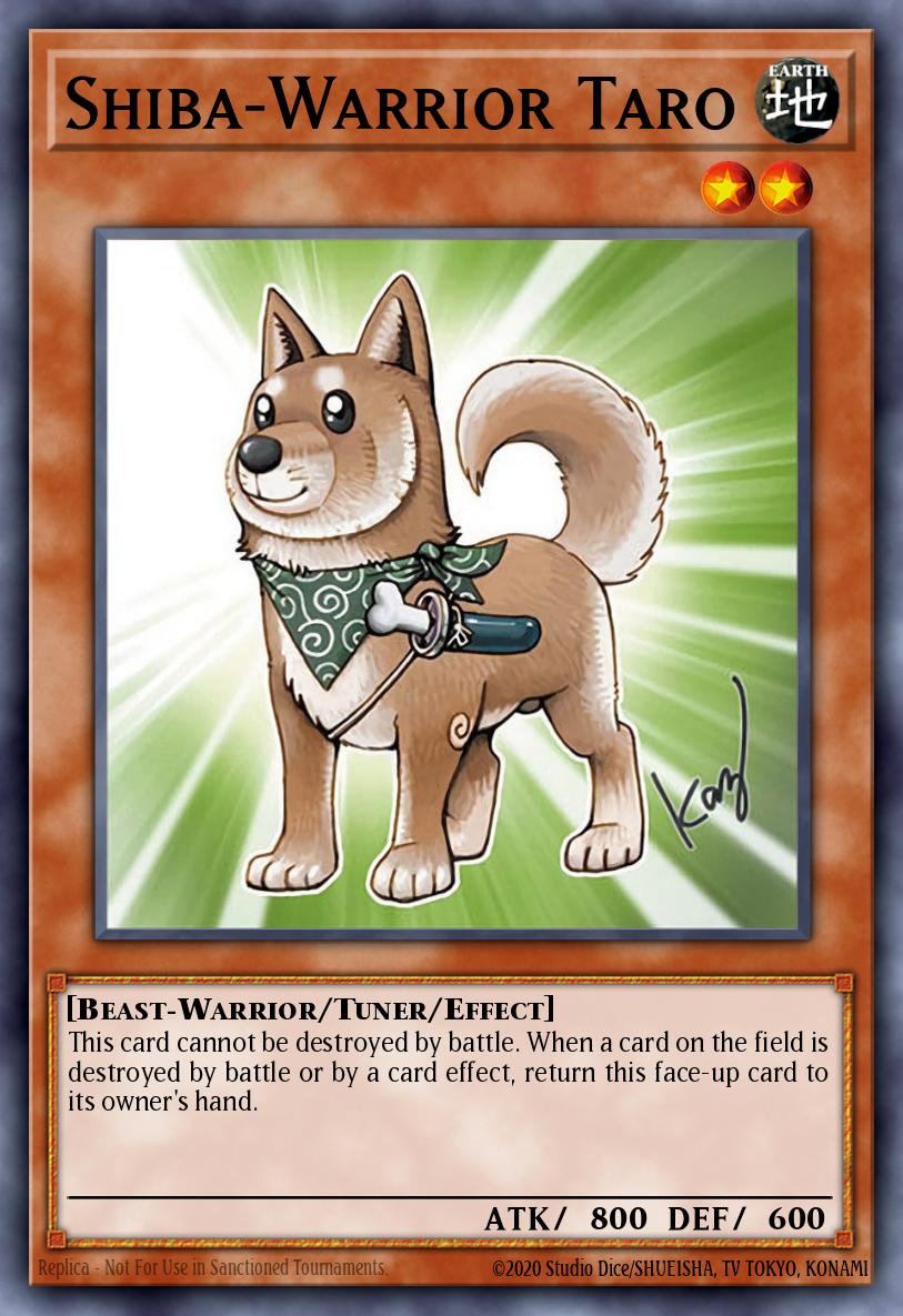 Shiba-Warrior Taro YAP1-EN008