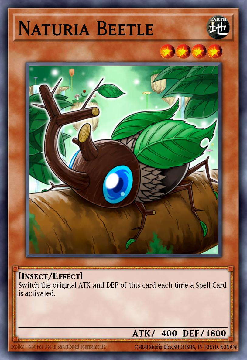 Naturia Beetle DT02-EN007