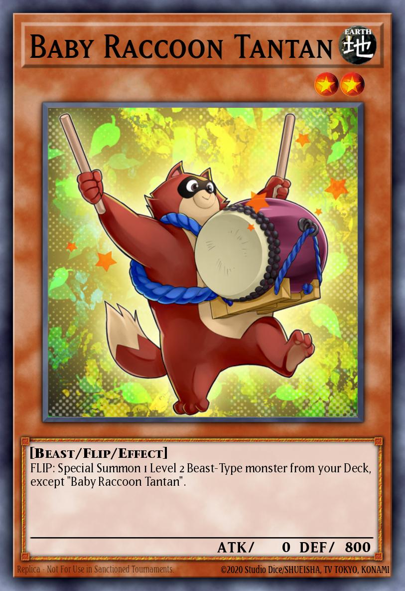 Baby Raccoon Tantan MP14-EN137