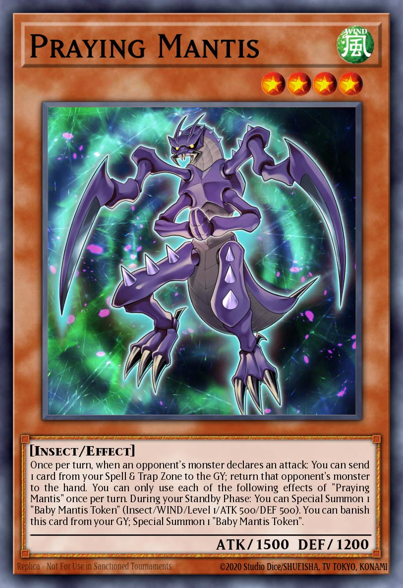 Praying Mantis BLMR-EN033