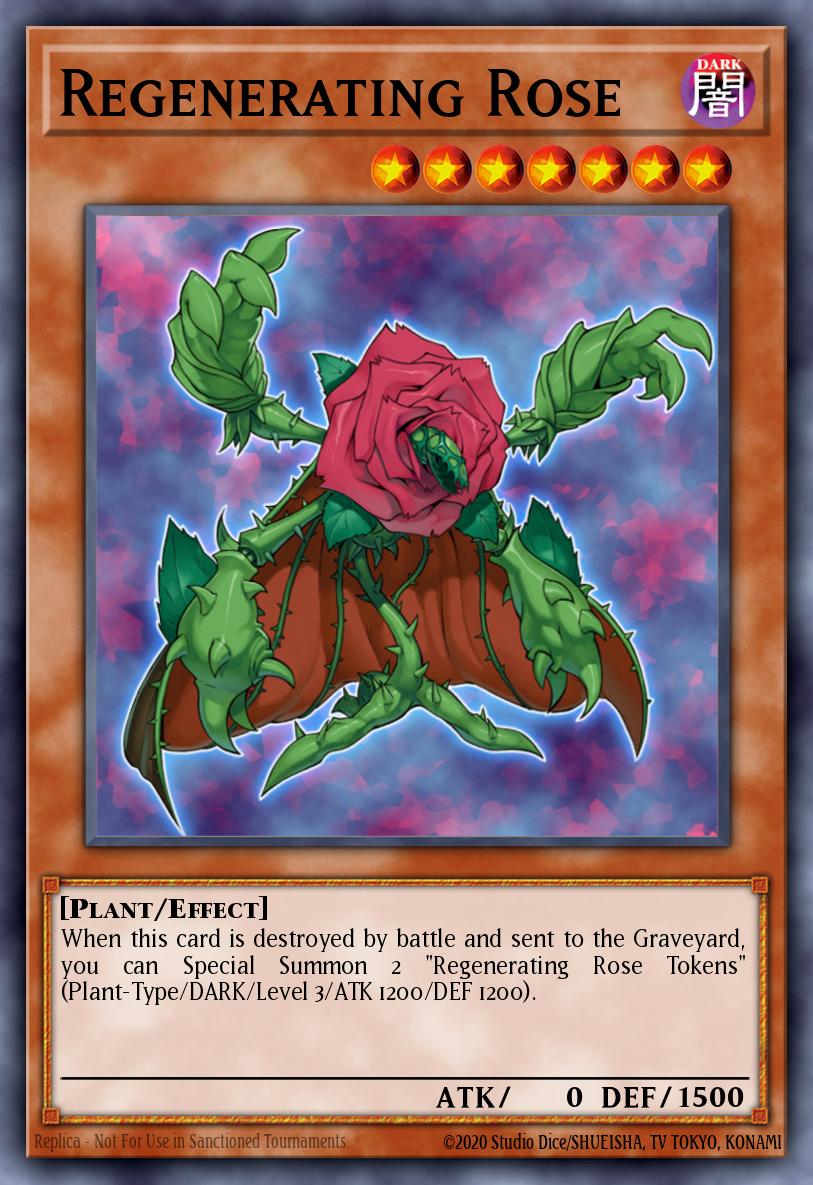 Regenerating Rose PTDN-EN005