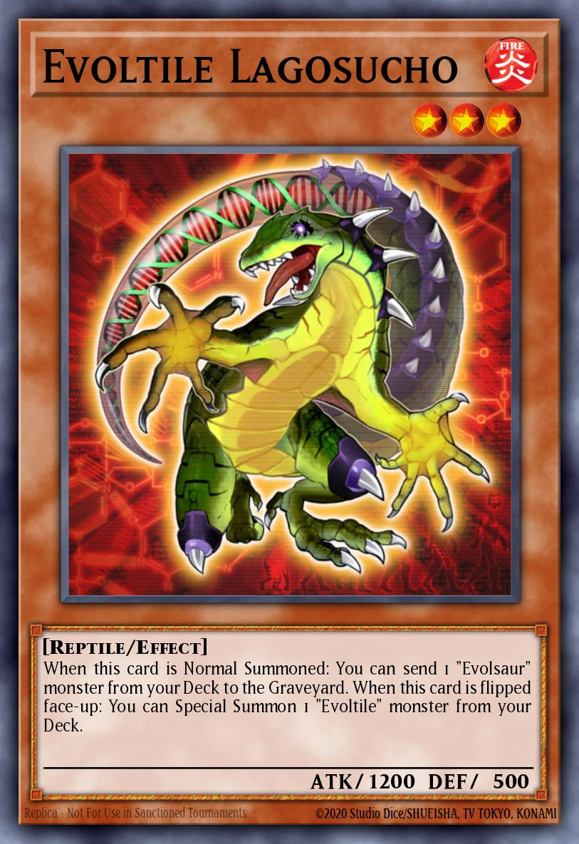 Evoltile Lagosucho GAOV-EN026