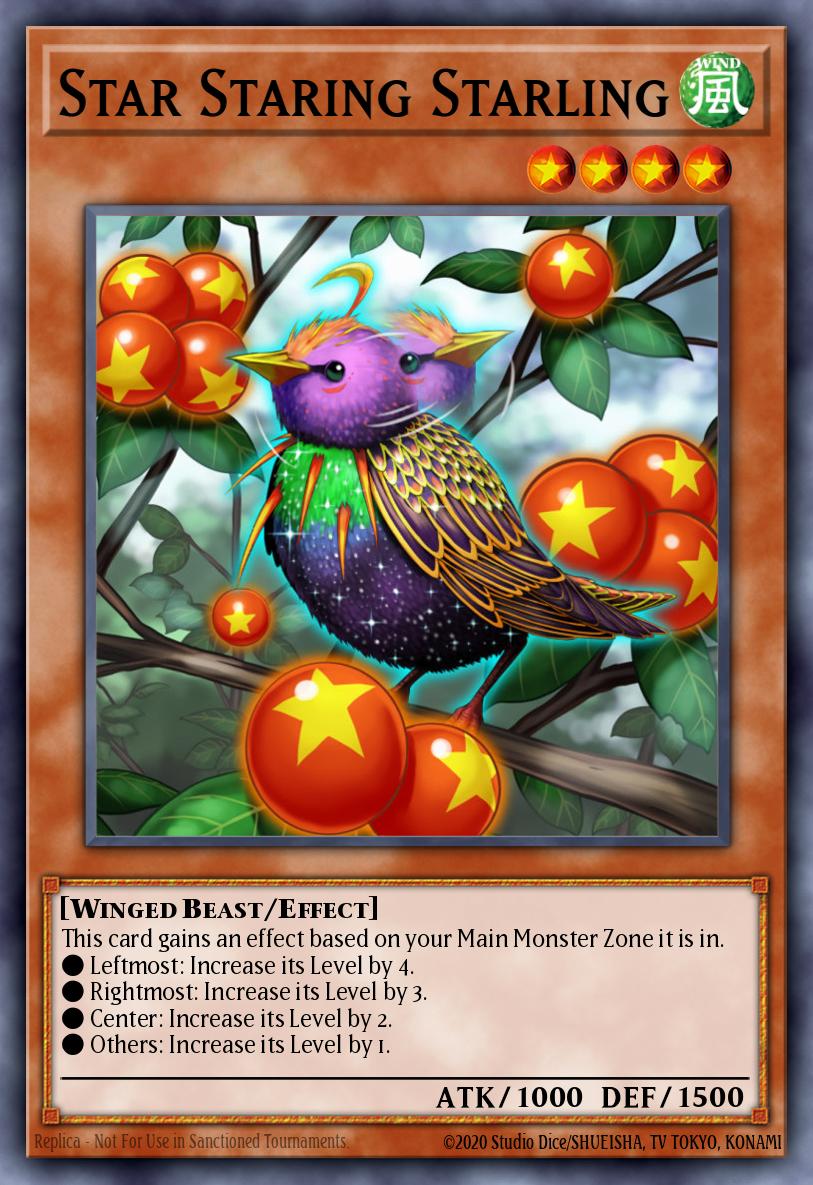 Star Staring Starling DANE-EN024