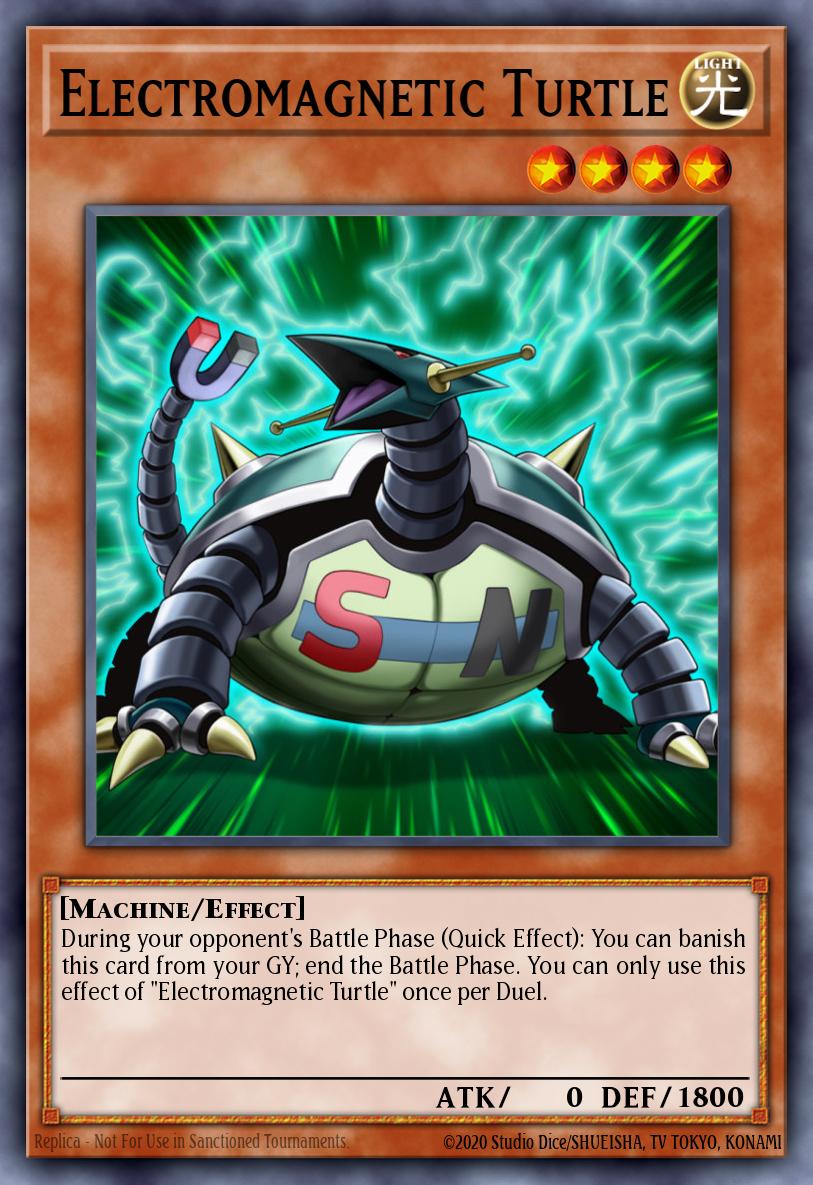 Electromagnetic Turtle EGS1-EN013
