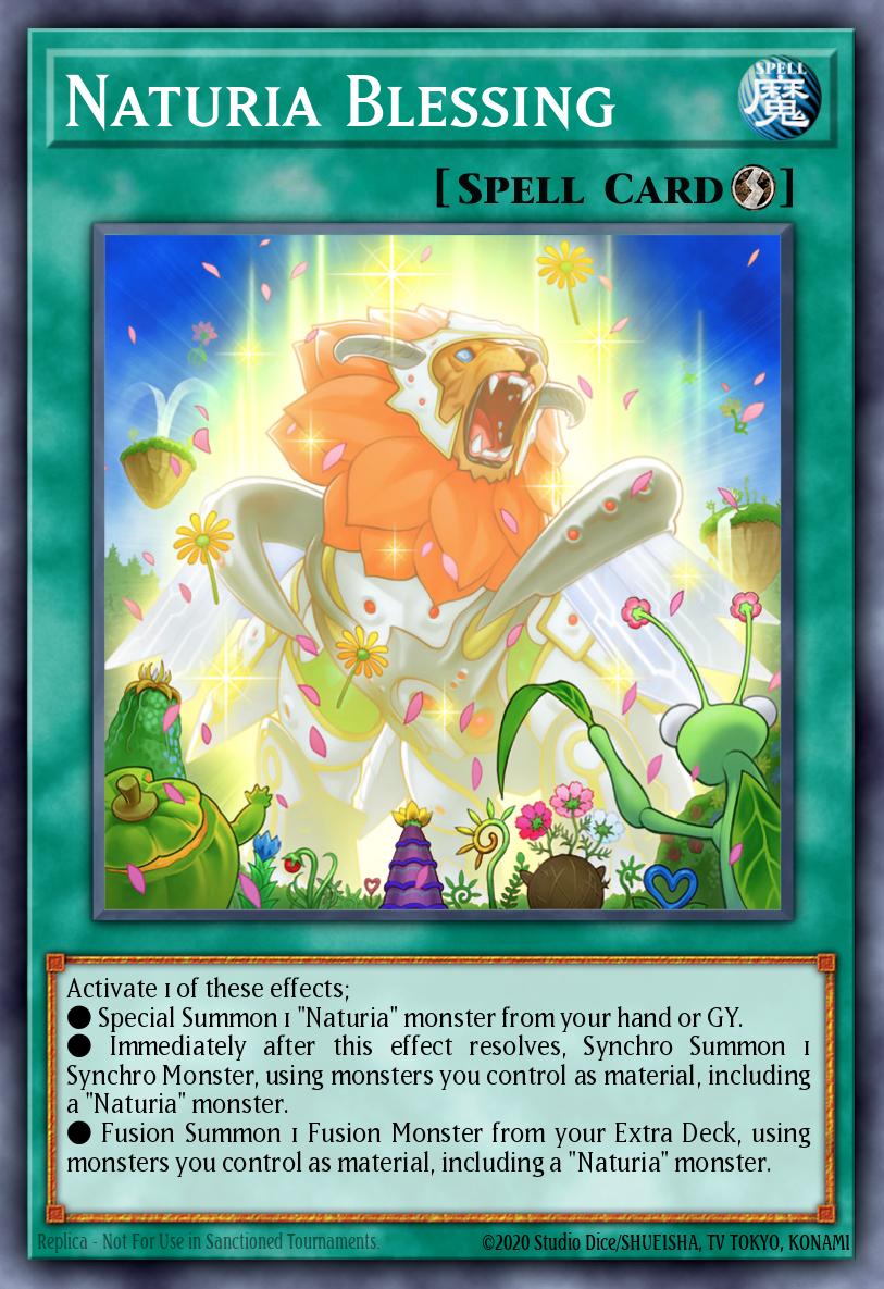 Naturia Blessing MP23-EN204