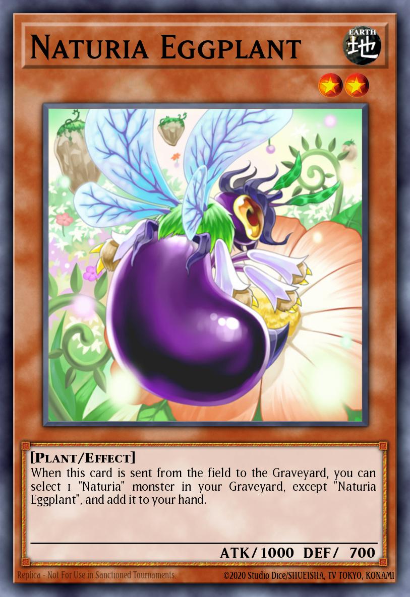 Naturia Eggplant EXVC-EN098