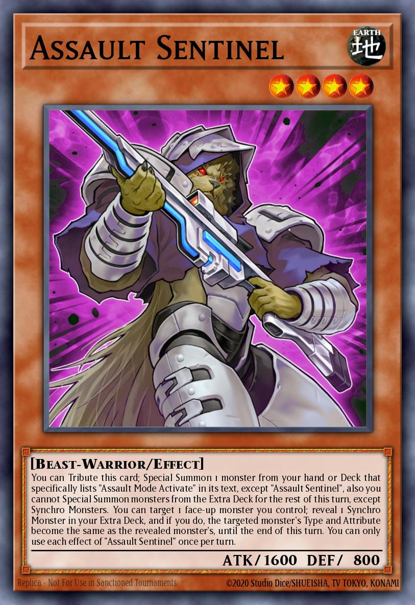 Assault Sentinel DANE-EN011