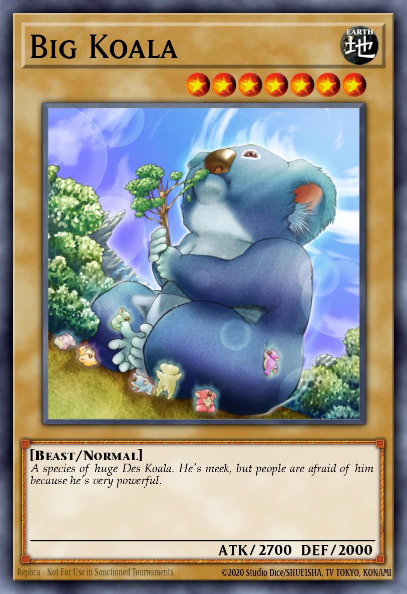 Big Koala DR2-EN004