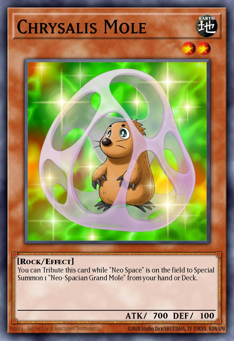 Chrysalis Mole TAEV-EN011