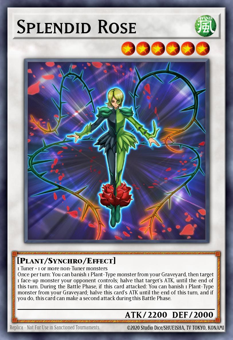 Splendid Rose L5DD-ENA27