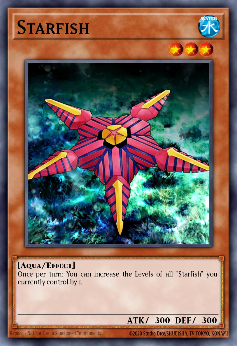 Starfish LTGY-EN009
