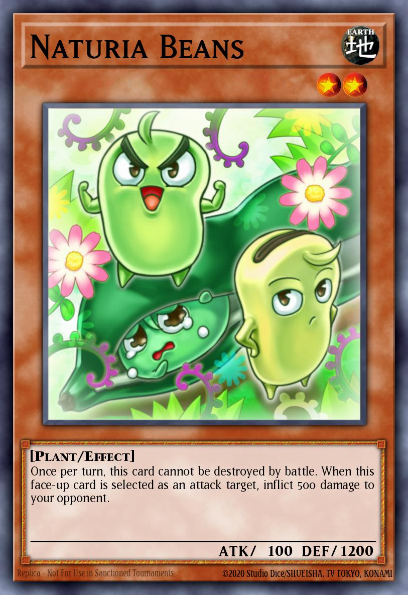 Naturia Beans DREV-EN028