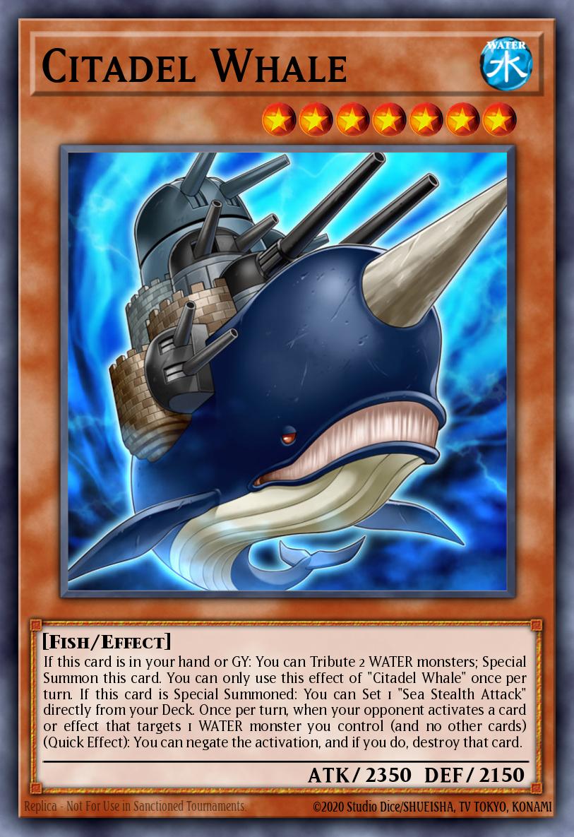 Citadel Whale LEDU-EN016
