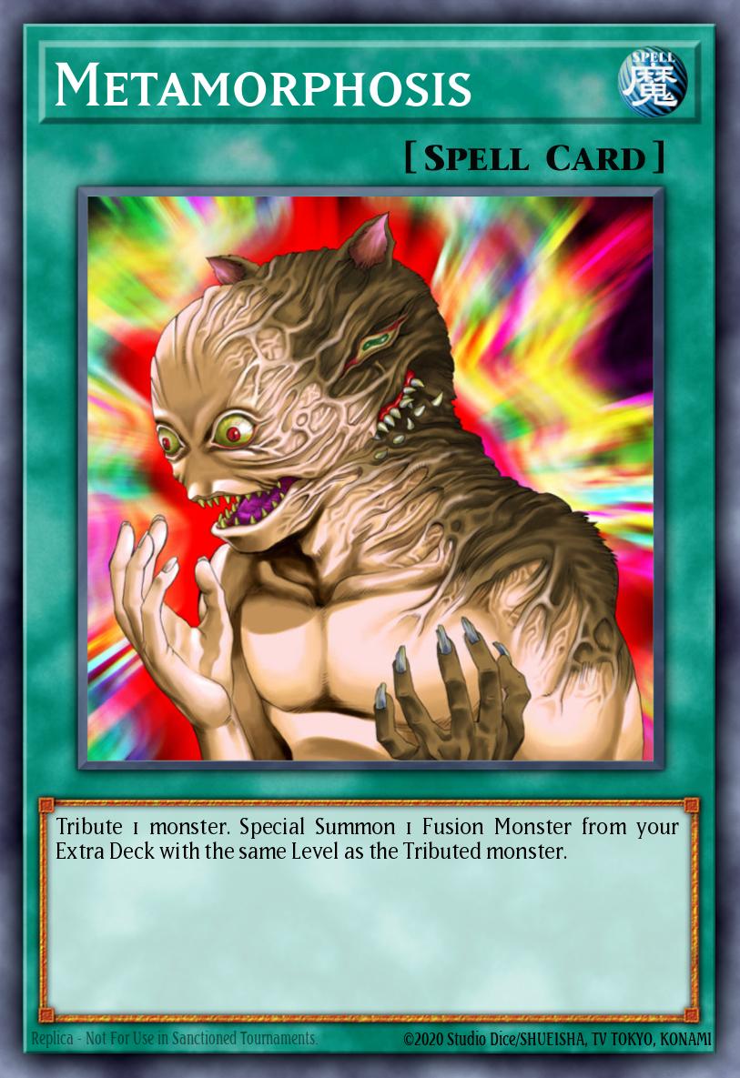 Metamorphosis MP25-EN299