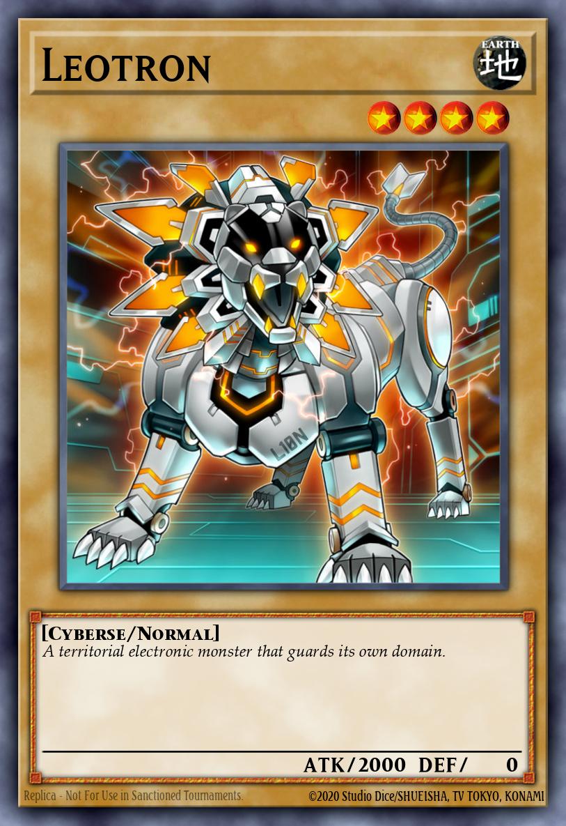 Leotron YS18-EN001