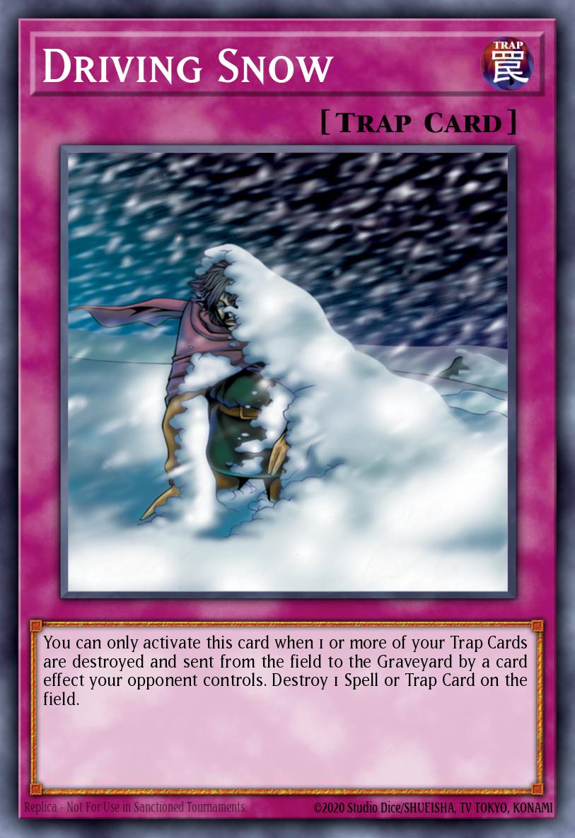 Driving Snow PSV-018