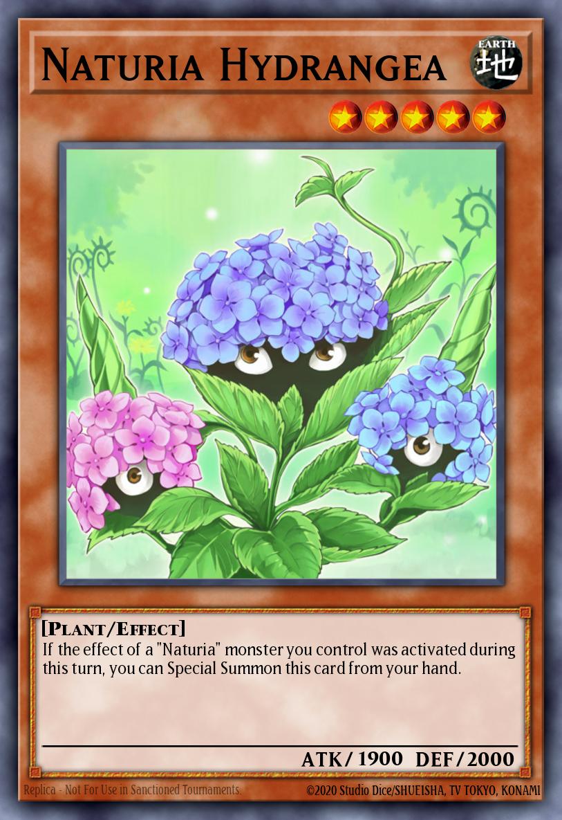 Naturia Hydrangea DT03-EN072