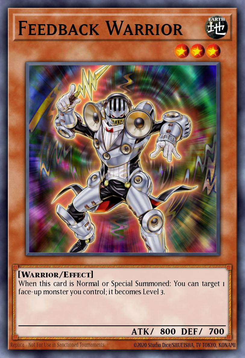 Feedback Warrior YS11-EN007