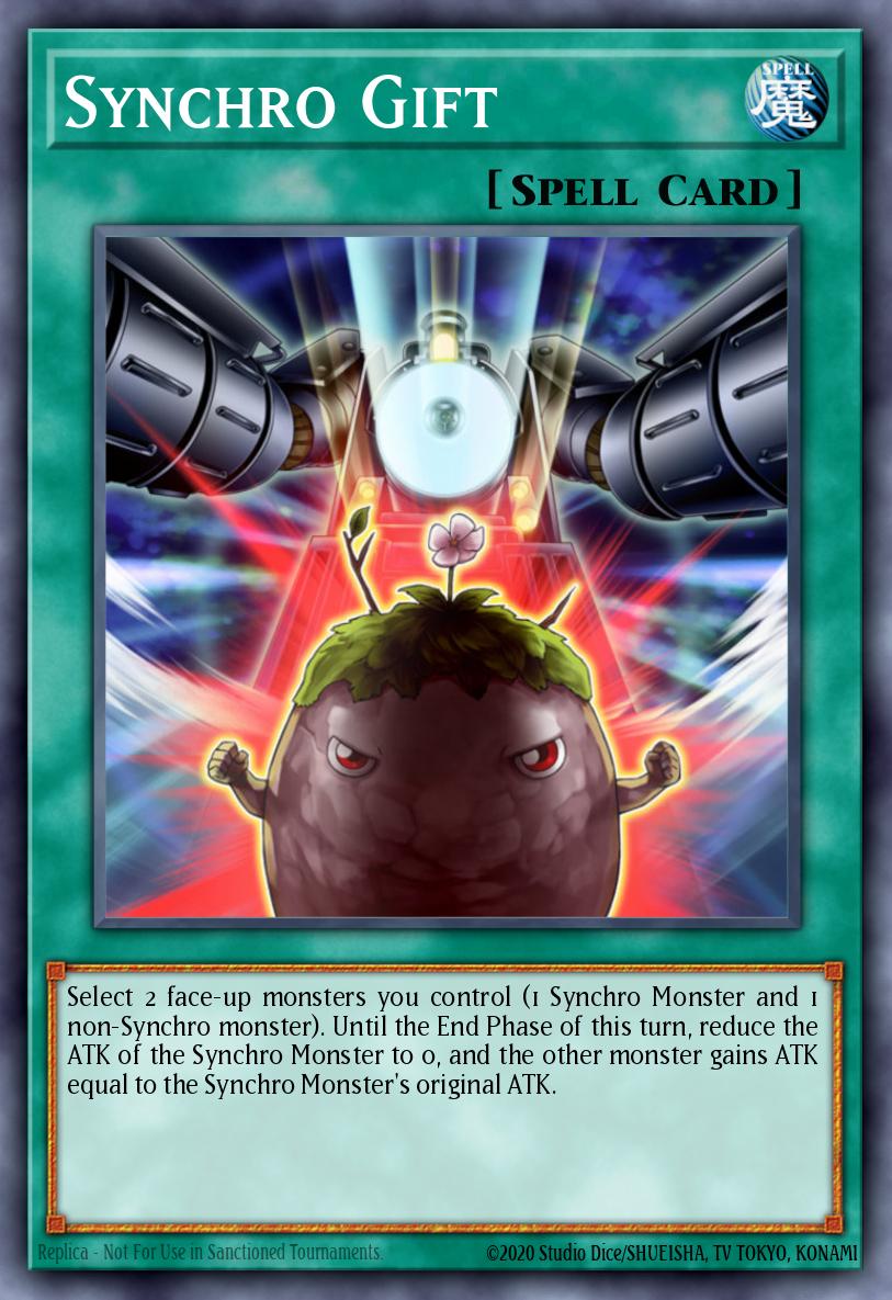 Synchro Gift DP10-EN024
