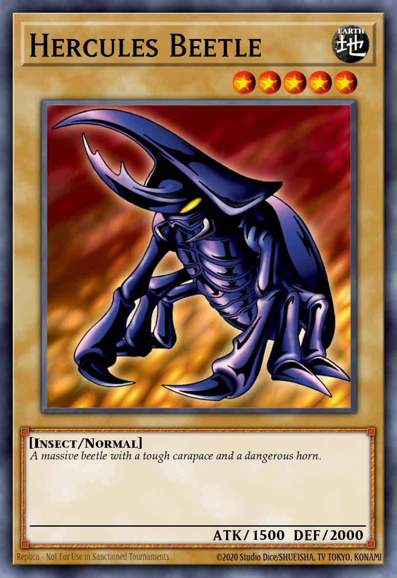 Hercules Beetle OP19-EN012