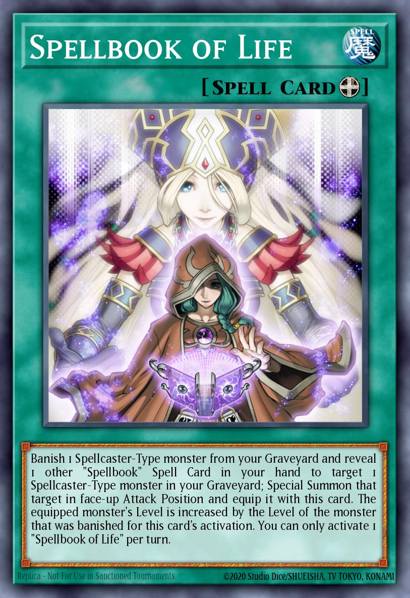 Spellbook of Life REDU-EN059