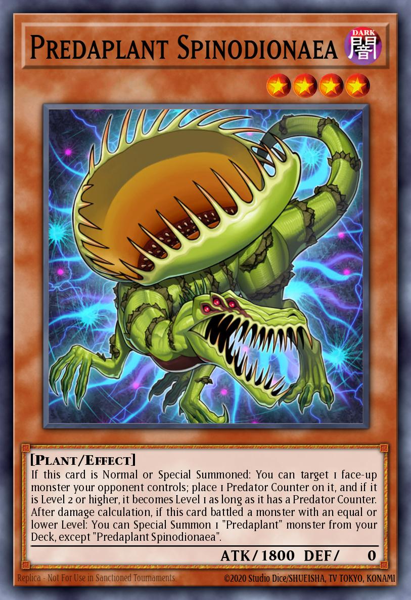 Predaplant Spinodionaea FUEN-EN004