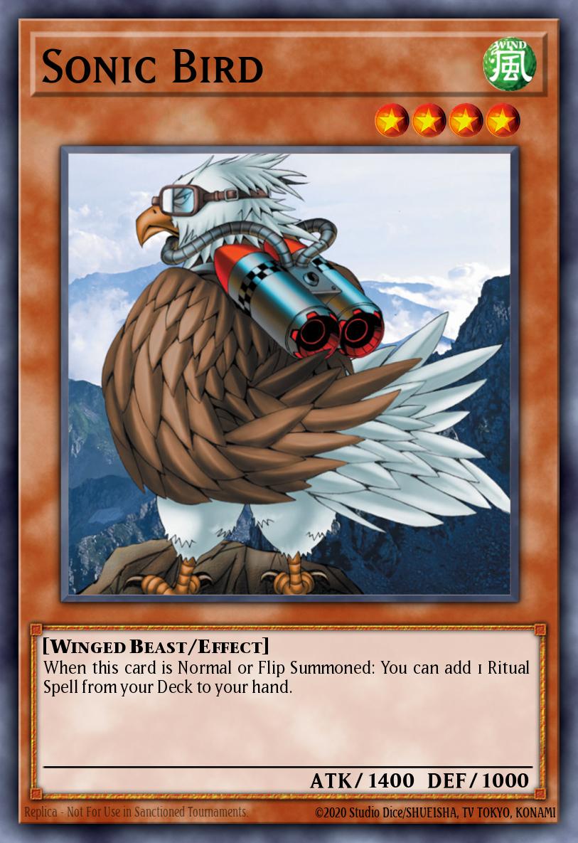 Sonic Bird DB1-EN056