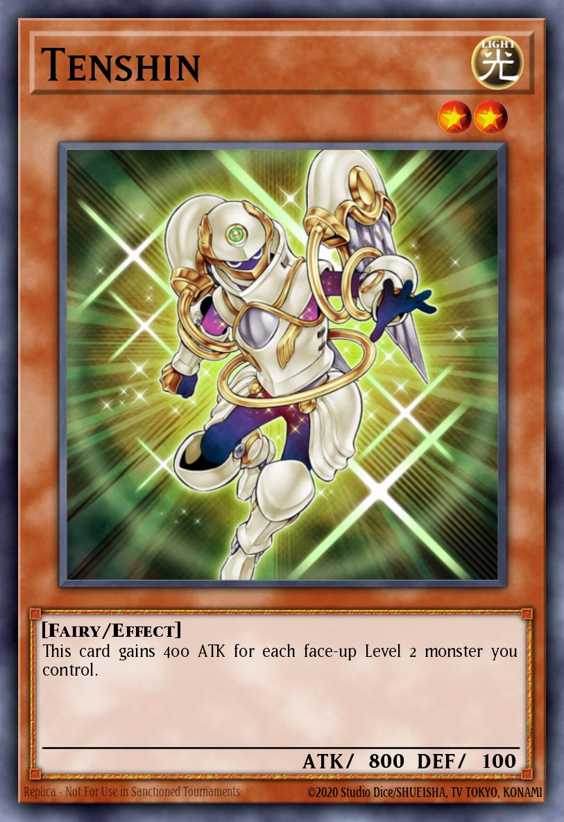 Tenshin YS11-EN010
